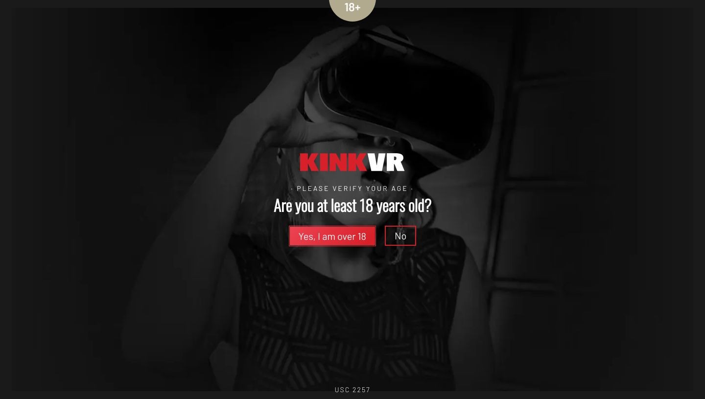 Kink VR